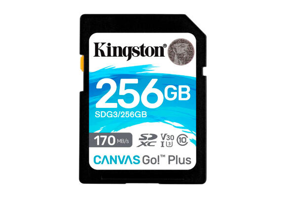 Карта памяти Kingston Canvas Go Plus 256 ГБ