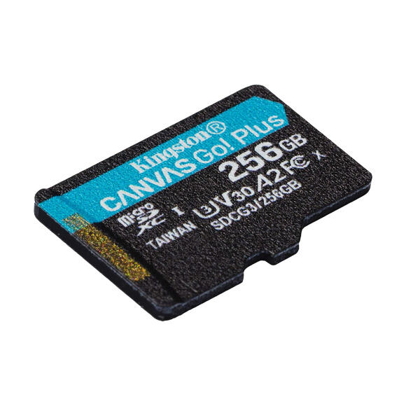 Карта памяти Kingston Canvas Go Plus 256 ГБ SDS2/256GB MicroSD