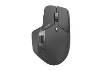 Мышь Rapoo MT760L (Black)