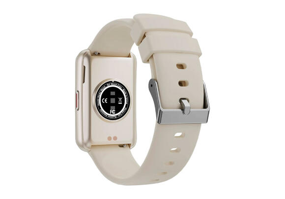 Смарт-браслет Swiss Military Rhine 2 (White) Смарт-браслет Swiss Military Rhine 2 (White)