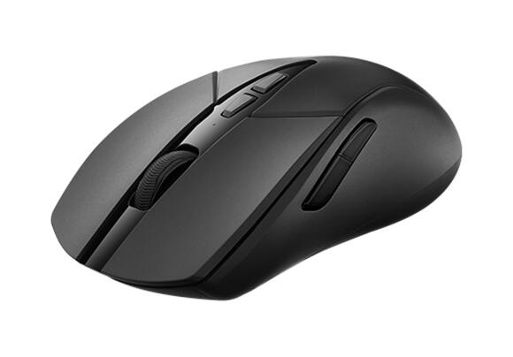 Мышь Rapoo V300SE (Black)
