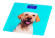 Напольные весы Ardesto SCB-965 DOG Напольные весы Ardesto SCB-965 DOG