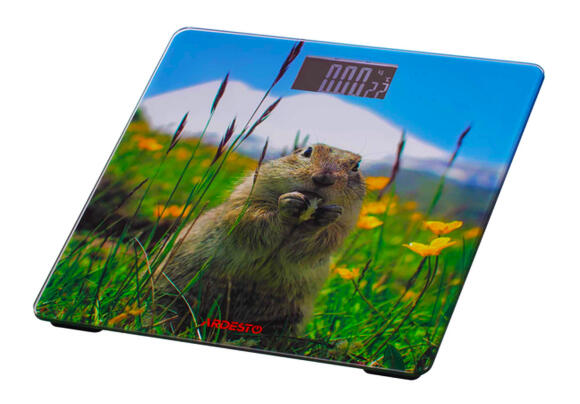 Напольные весы Ardesto SCB-965 MARMOT Напольные весы Ardesto SCB-965 MARMOT