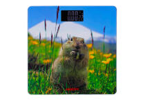 Напольные весы Ardesto SCB-965 MARMOT Напольные весы Ardesto SCB-965 MARMOT