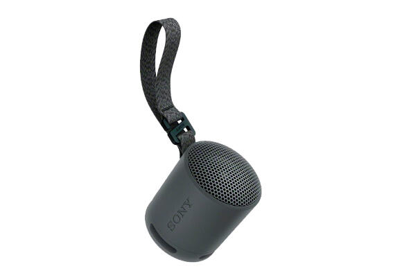 Колонка Sony SRS-XB100 (Black) Колонка Sony SRS-XB100 (Black)