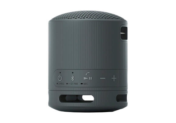 Колонка Sony SRS-XB100 (Black) Колонка Sony SRS-XB100 (Black)