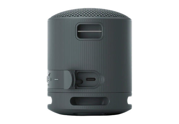 Колонка Sony SRS-XB100 (Black) Колонка Sony SRS-XB100 (Black)