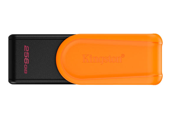 Накопитель USB Kingston 256 ГБ DataTraveler Exodia S