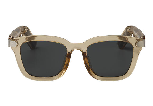 Солнцезащитные очки JBL Soundgear Frames (с динамиками) Солнцезащитные очки JBL Soundgear Frames (с динамиками)