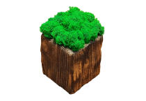 Декоративный горшок с живым мхом