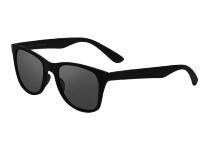 Очки TS Polarized Traveller Sunglasses (3016127)