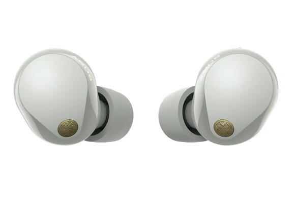Наушники Sony WF-1000XM5 (Platinum Silver) Наушники Sony WF-1000XM5 (Platinum Silver)