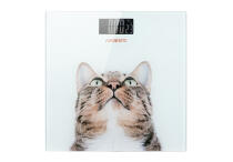 Напольные весы Ardesto  SCB-965CAT