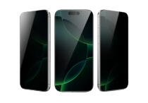 Защитное стекло Green Lion PPV-ET Privacy для iPhone 17 Pro Max