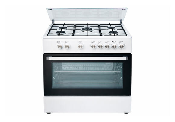 Комбинированная плита Skyworth 110л (White)