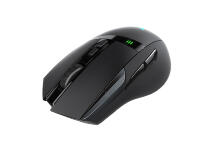 Мышь Rapoo VT350