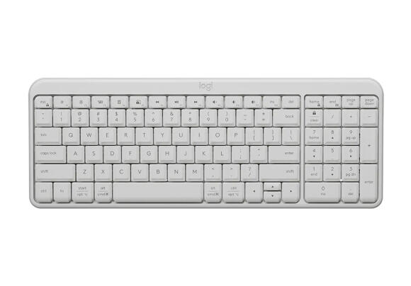 Клавиатура Logitech  K251 (White)