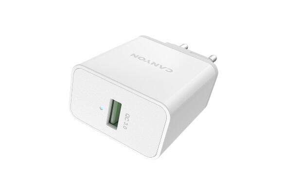 Сетевой адаптер Canyon H-36-01 CNE-CHA36W01 Сетевой адаптер Canyon H-36-01 CNE-CHA36W01