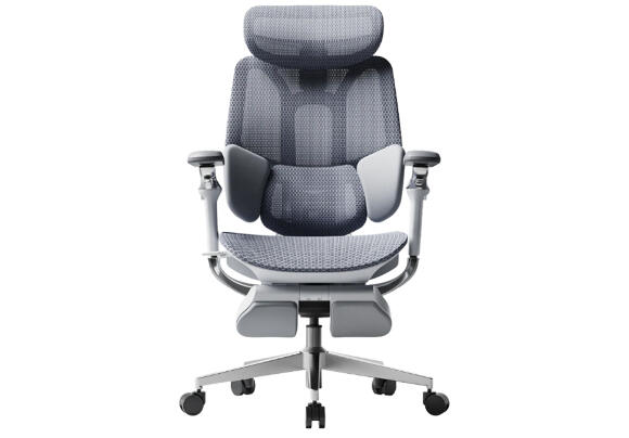 Эргономичное офисное кресло HBADA E3 Pro Mesh Gray