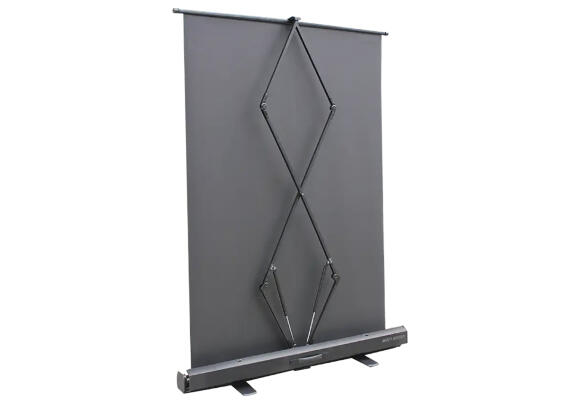 Переносной экран Green Lion Screen 80" GN80INPROSN для проектора