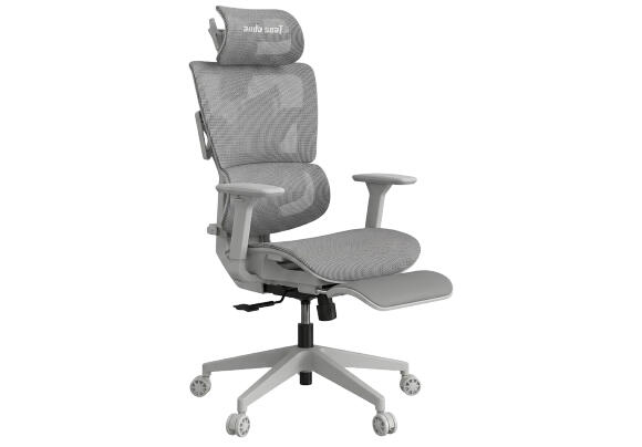 Офисно-игровое кресло AndaSeat X-Air Mega Gray