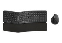 Комплект Rapoo 8810ME Ergonomic (Dark Gray) Комплект Rapoo 8810ME Ergonomic (Dark Gray)