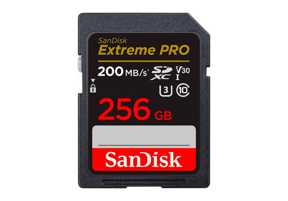 Карта памяти Sandisk Extreme PRO 256 ГБ SDSDXXD-256G-GN4IN