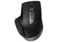 Мышь Rapoo MT750S 750S-6940056186706