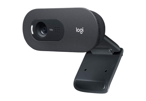 Веб-камера Logitech C505 Веб-камера Logitech C505