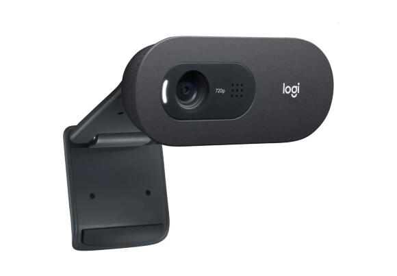 Веб-камера Logitech C505 Веб-камера Logitech C505