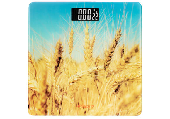 Напольные весы  SCB-965 WHEAT