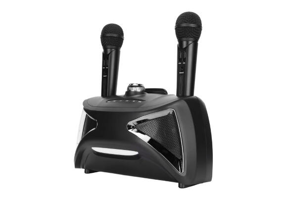 Колонка SDRD ST-2025 с двумя микрофонами Колонка SDRD ST-2025 с двумя микрофонами