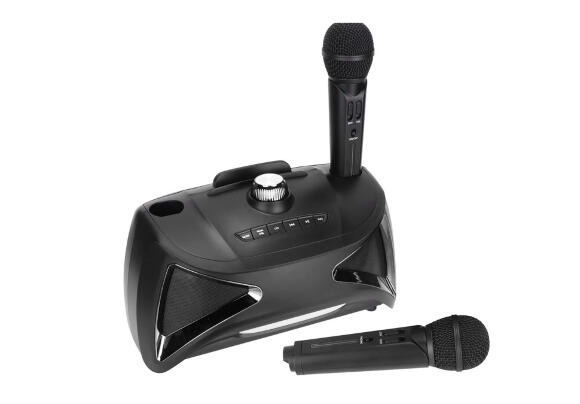 Колонка SDRD ST-2025 с двумя микрофонами Колонка SDRD ST-2025 с двумя микрофонами