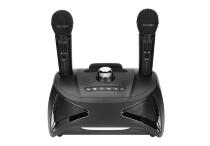 Колонка SDRD ST-2025 с двумя микрофонами