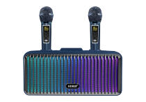 Колонка SDRD SD319PRO с двумя микрофонами