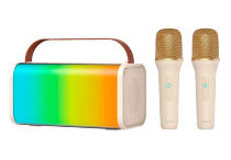 Колонка SOAIY SK20