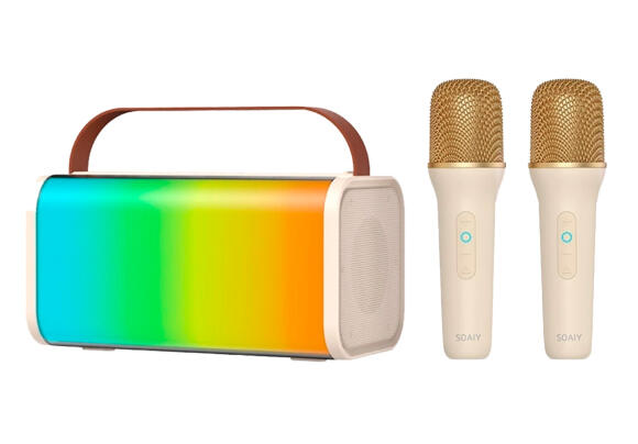 Колонка SOAIY SK20