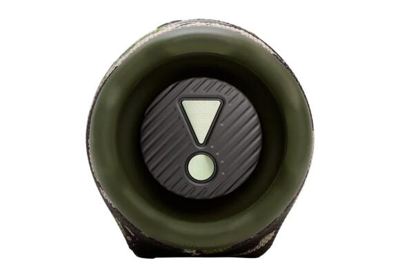 Колонка JBL Charge 6 Portable Bluetooth Speaker (Squad)