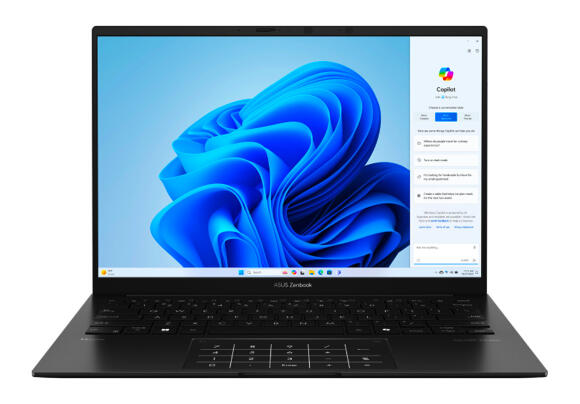Ультрабук Asus Zenbook 14 OLED 32 ГБ/1ТБ UM3406KA-QD170 (Black)