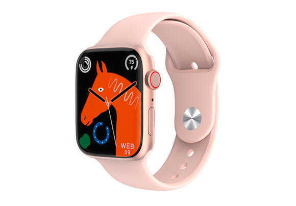 Смарт-часы WiWU Smart Watch SW01 Pro (Gold) Смарт-часы WiWU Smart Watch SW01 Pro (Gold)