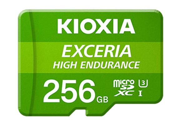 Карта памяти Kioxia by Toshiba 256 Гб LMHE1G256GG2