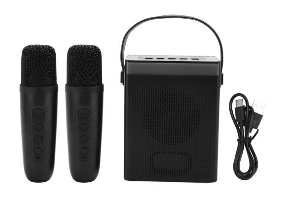 Колонка K-16 с двумя микрофонами (Black) Колонка K-16 с двумя микрофонами (Black)