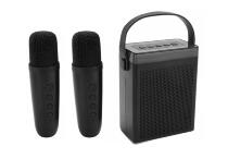 Колонка K-16 с двумя микрофонами (Black)