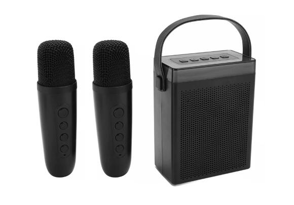 Колонка K-16 с двумя микрофонами (Black)