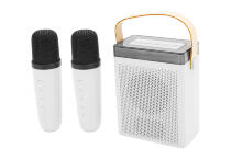 Колонка K-16 с двумя микрофонами (White)