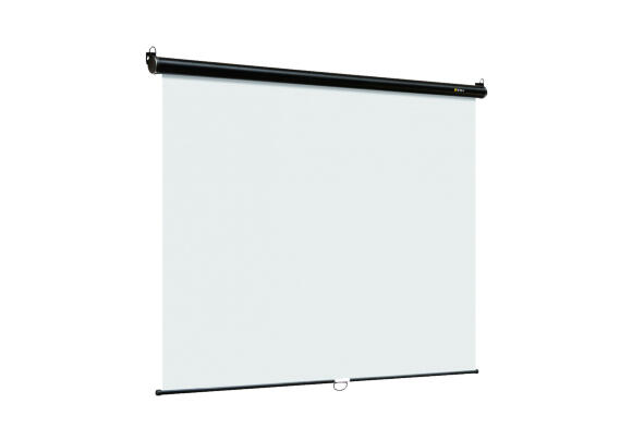 Экран 203 х 152 см 203х152