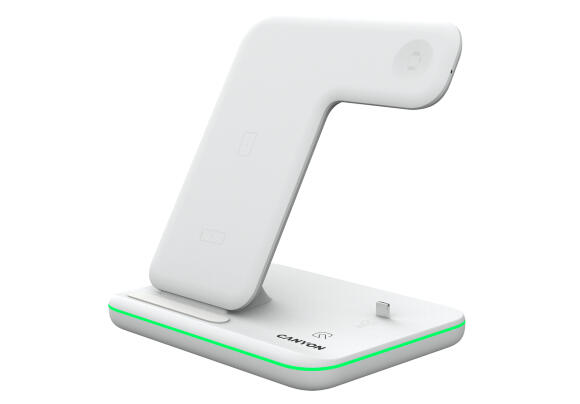 Зарядная станция Canyon WS-302 CNS-WCS302W