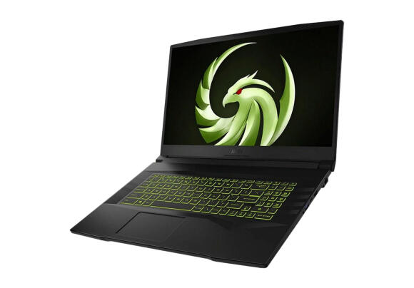 Ноутбук MSI Alpha 17 B5EEK B5EEK-036XUZ Ноутбук MSI Alpha 17 B5EEK B5EEK-036XUZ