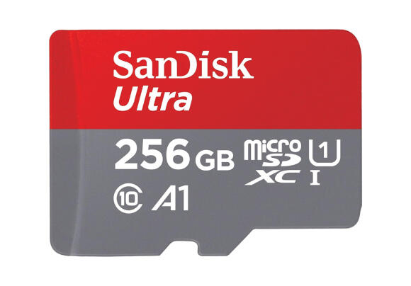 Карта памяти Sandisk Ultra Class 10 256 Гб SDSQUNR-256G-GN3MN