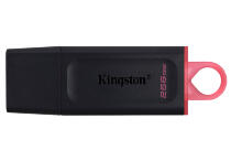 Накопитель USB Kingston Exodia 256GB 3.2 DTX/256GB Накопитель USB Kingston Exodia 256GB 3.2 DTX/256GB